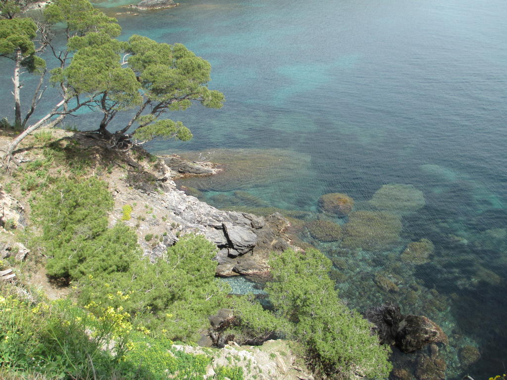 Hotel Ibis Styles Rooftop & Hyeres